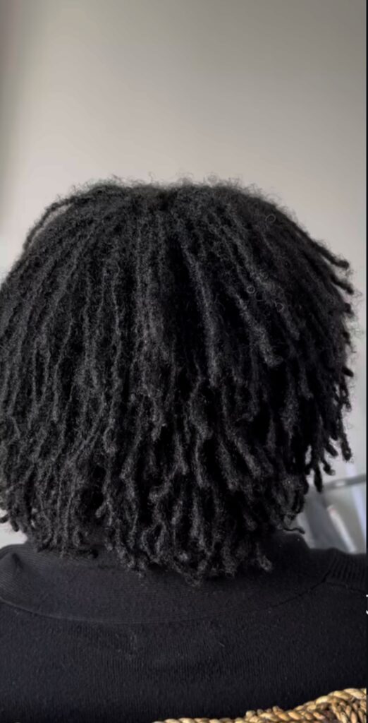 Backview of full short locs