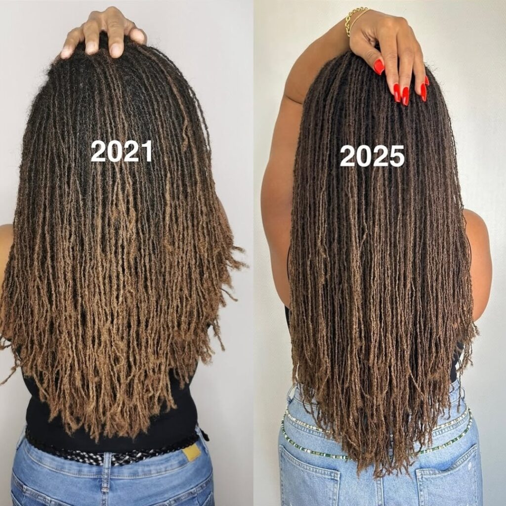 Image of backview of waist length locs