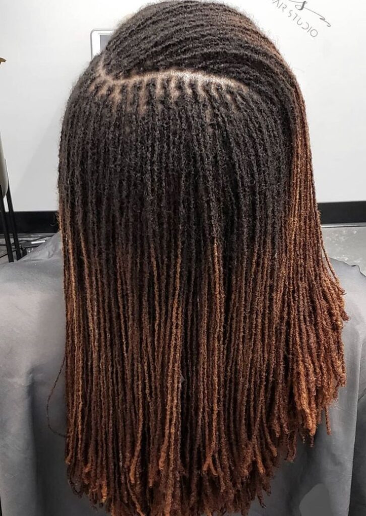 Healthy mature sisterlocs from the back