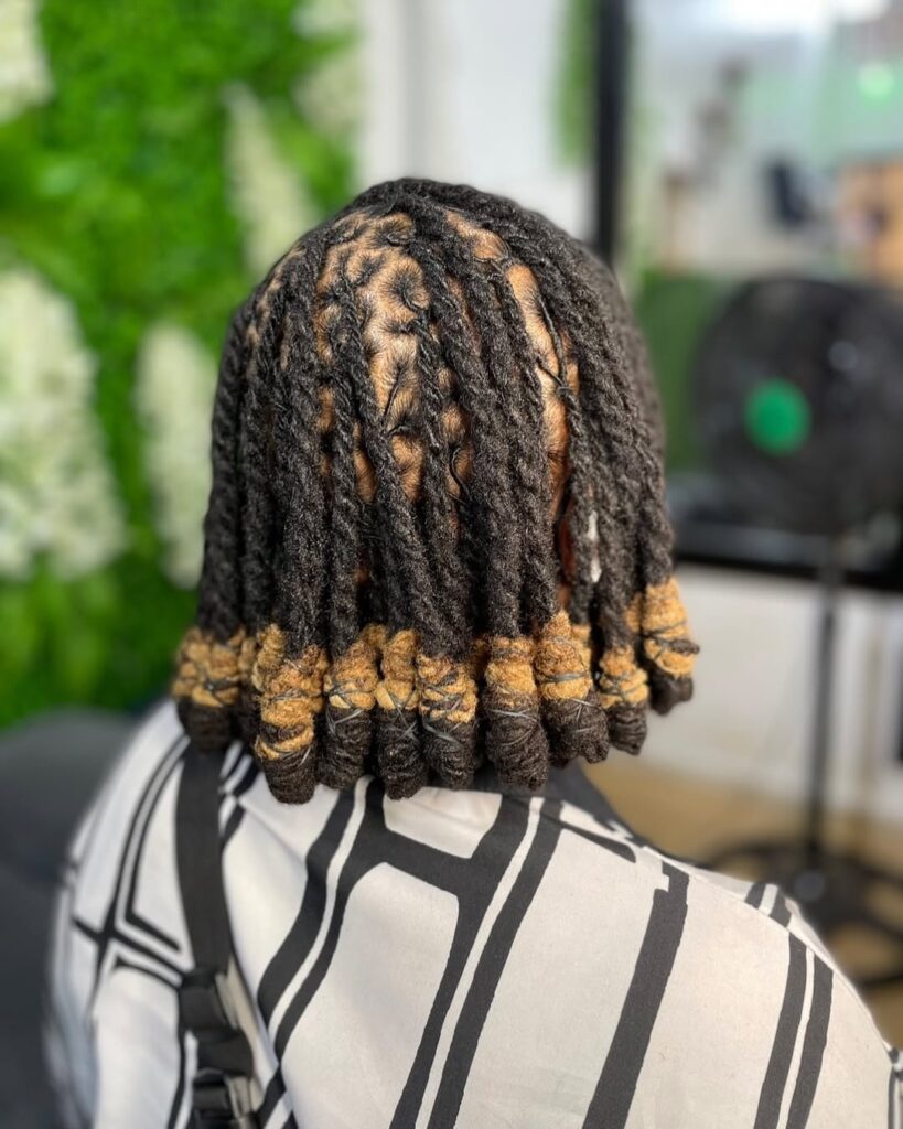 Back view of a person on medium traditional locs