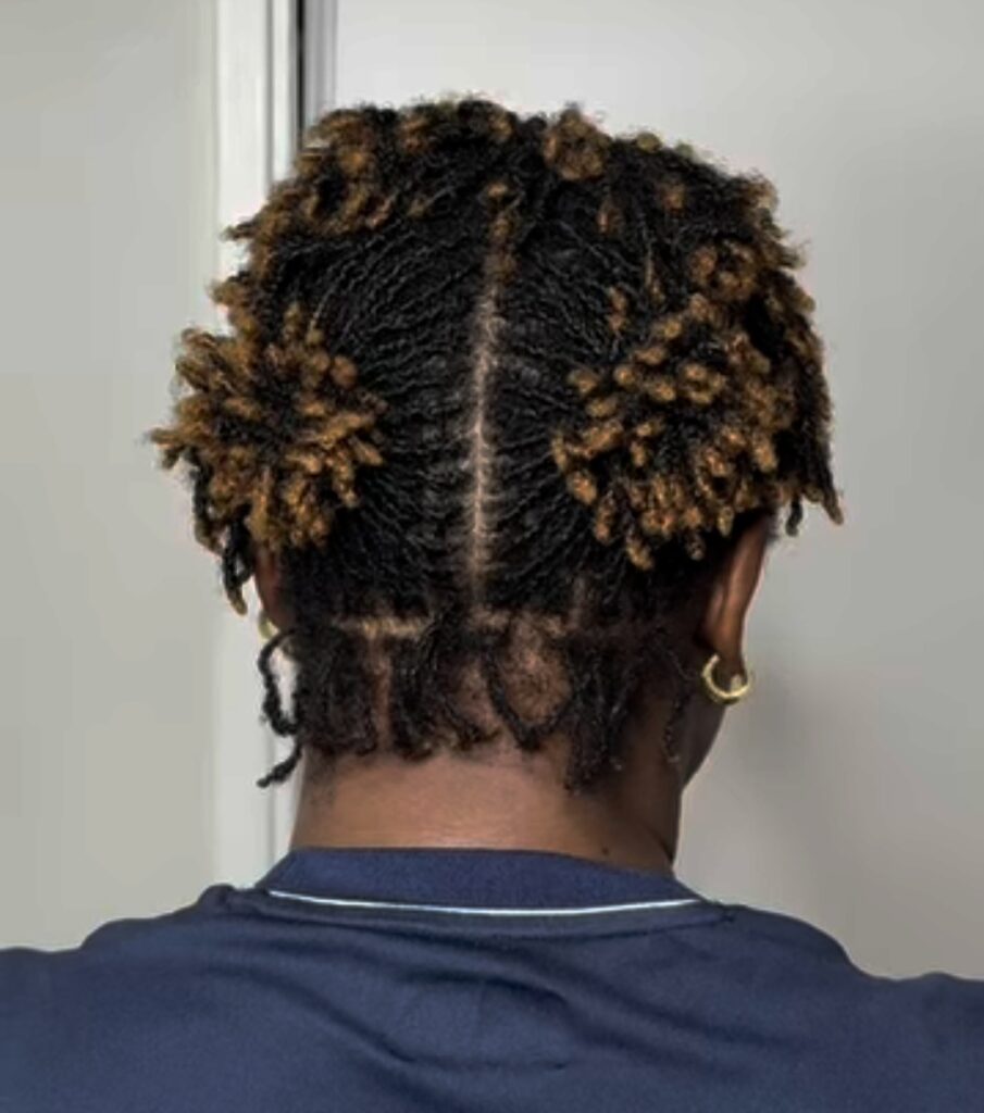 A photo of a small starter locs