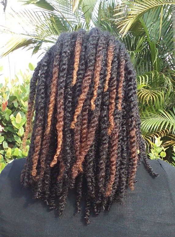 two strand twists locs