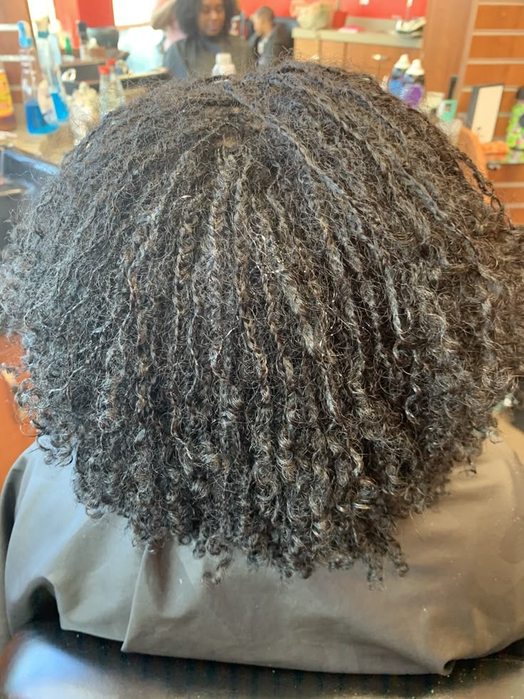 Woman on braids starter locs