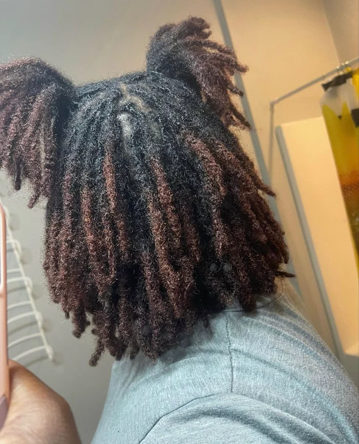 Starter braid locs already in the locking process