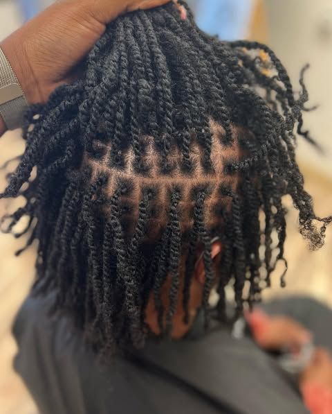 Two strand twist locs