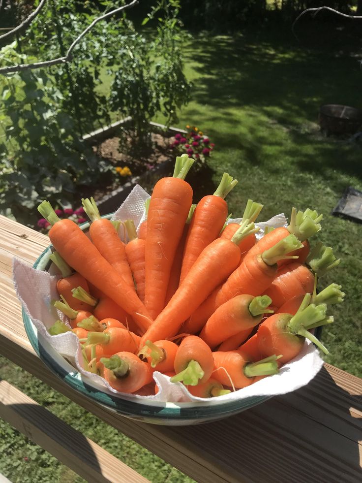 Carrots – Support a Healthy Scalp
