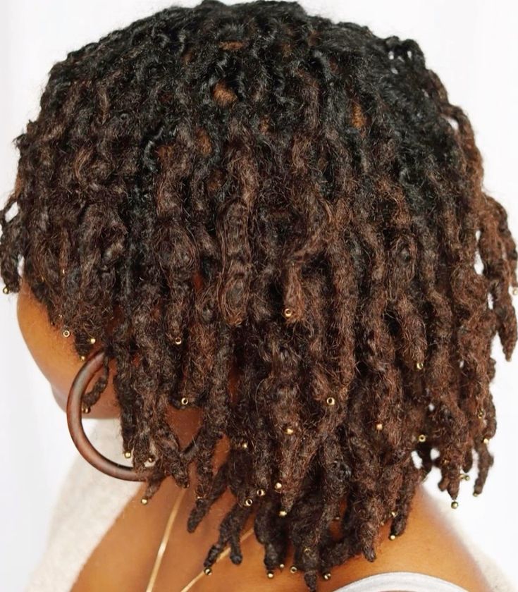 Can You Undo Locs Full Truth Explained