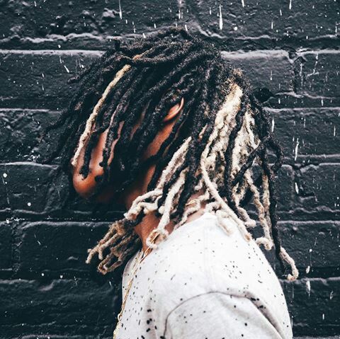 Two-Tone Locs