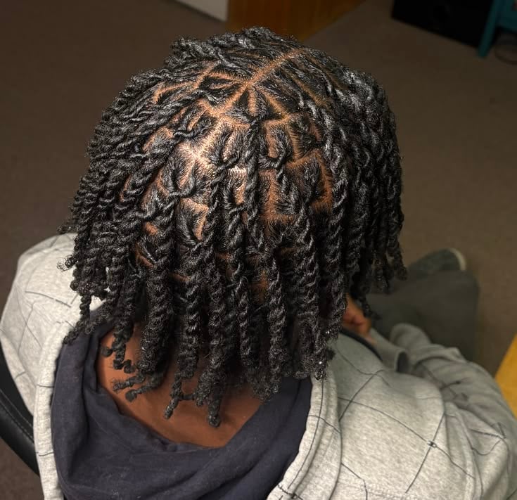 Thick Two-Strand Twist Starter Locs